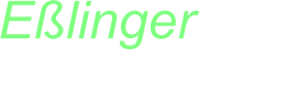 Eßlinger RC Slotcars Carrera Digital 132 Haribo Racing